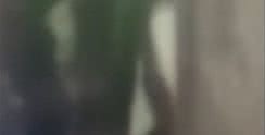 Reprodução das Redes Sociais