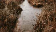 Foto de Annie Spratt na Unsplash