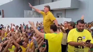 Reprodução