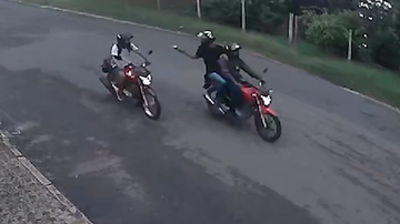 Reprodução