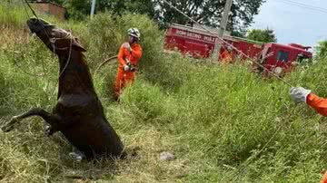 Ascom / Corpo de Bombeiros