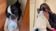 Reprodução// TikTok @maialuvidigal