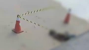 Reprodução/Radar News