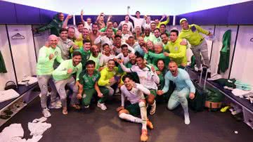Cesar Greco/Palmeiras