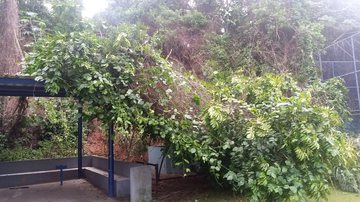 Imagem Deslizamento de terra atinge campo no bairro de Pirajá, em Salvador