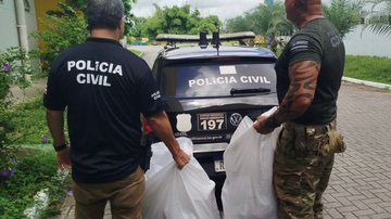 Divulgação