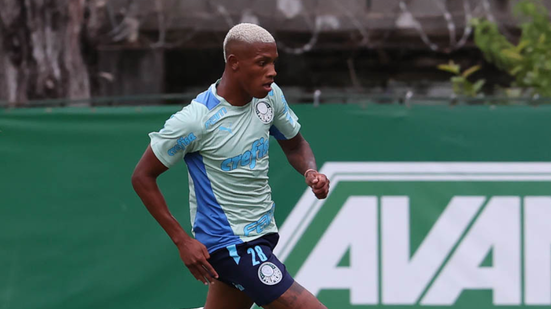 Cesar Greco/Palmeiras