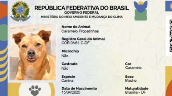 Reprodução: Gov.Br