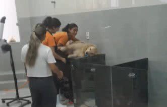 Reprodução / Redes Sociais