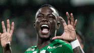 Divulgação | Atlético Nacional