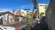 Dandara Amorim/BNews