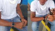 Montagem/BNews