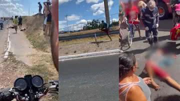 Reprodução