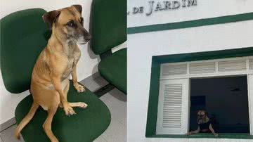 Foto: Delegacia de Jardim