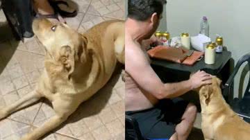 Reprodução/TikTok