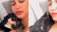 Reprodução/TikTok @pet_miamaria
