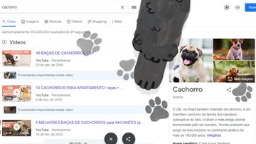 Reprodução / Google