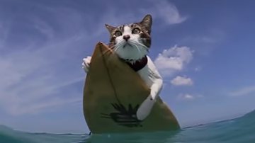 Reprodução / YouTube