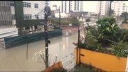 Reprodução/Whatsapp