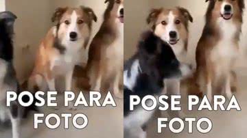Reprodução / Redes Sociais