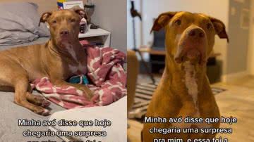 Reprodução / Redes Sociais