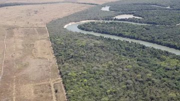Daniel Beltra/Greenpeace