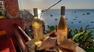 Reprodução/Instagram (@sushi_solar)