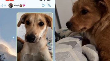 Reprodução/Instagram