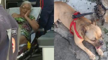 Reprodução/Tv Bahia