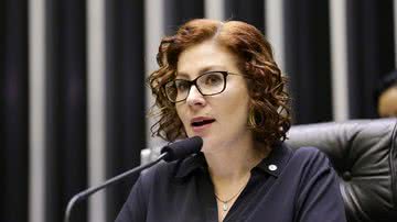 Michel Jesus/ Câmara dos Deputados