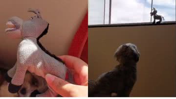 Reprodução// TikTok @nary.kherolainy