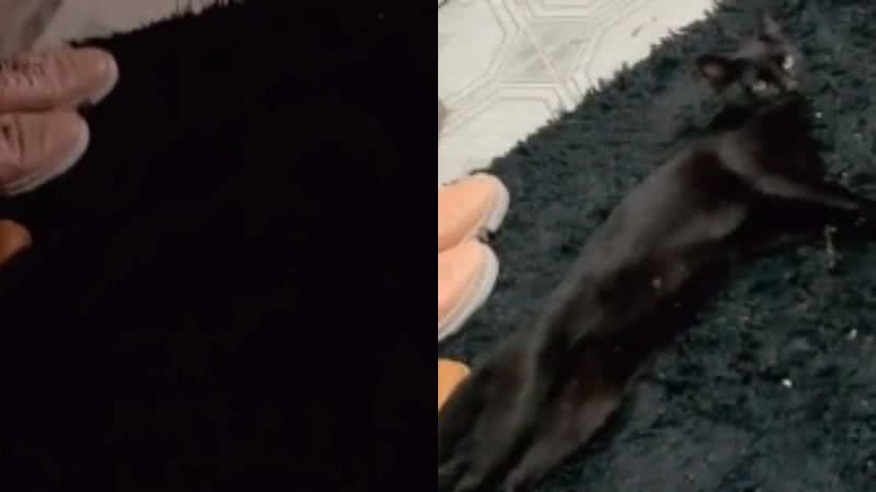 Reprodução// TikTok @paulabatista2707