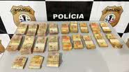 Divulgação/Polícia Civil