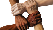 Divulgação / Pixabay