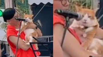 Reprodução / TikTok