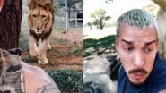 Reprodução/TikTok @deanschaneider.short