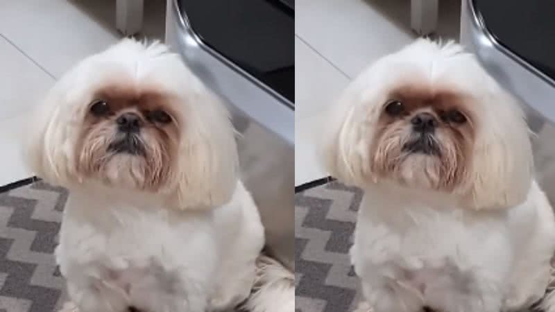 Reprodução / TikTok