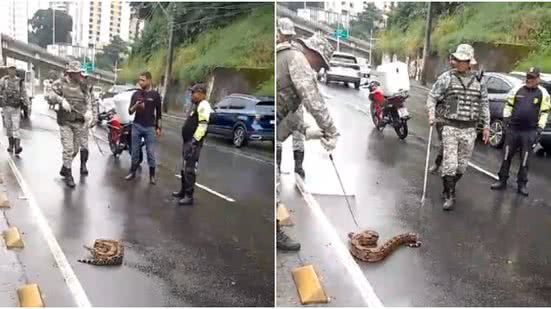 Reprodução/Guarda Civil Municipal
