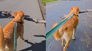 Reprodução / Instagram