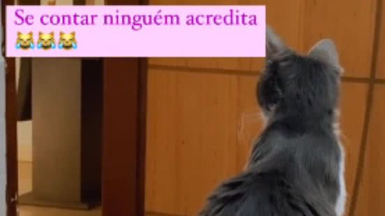 Reprodução//TikTok @elygata.kelly