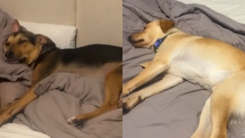 Reprodução// TikTok @marianablyra