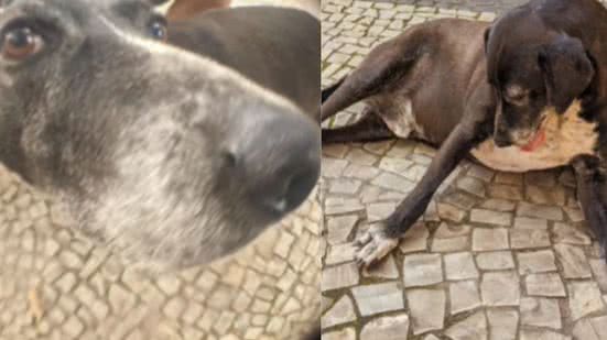 Reprodução / Instagram