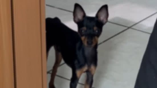 Reprodução / Redes sociais