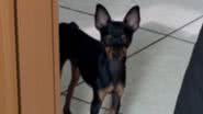 Reprodução / Redes sociais