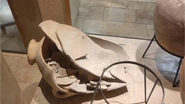 Menino quebra um jarrode 3.500 anos em israel - Museu Hecht/Reprodução