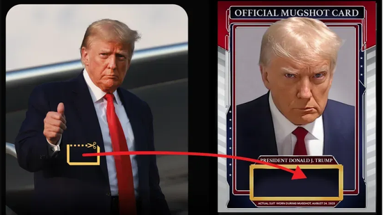 collecttrumpcards.com - Trump Digital Trading Cards: MugShot Edition