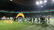 Cesar Greco/Palmeiras