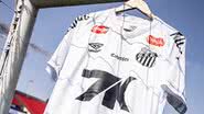 Raul Baretta/ Santos FC.