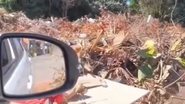 Reprodução/ redes sociais