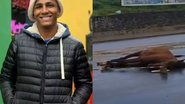 Reprodução/redes sociais